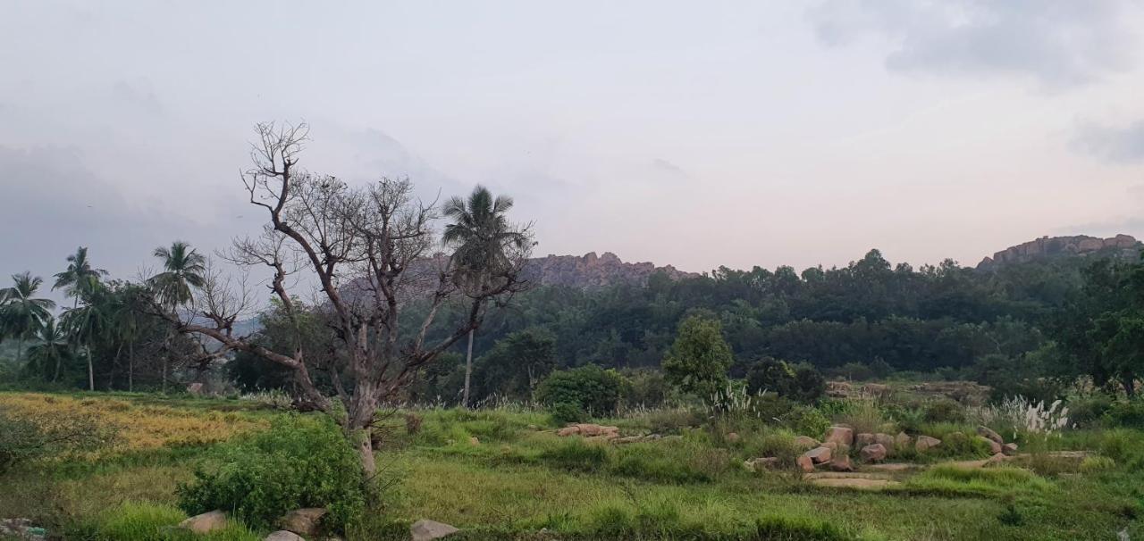 Lazy Panda Hotel Hampi Luaran gambar