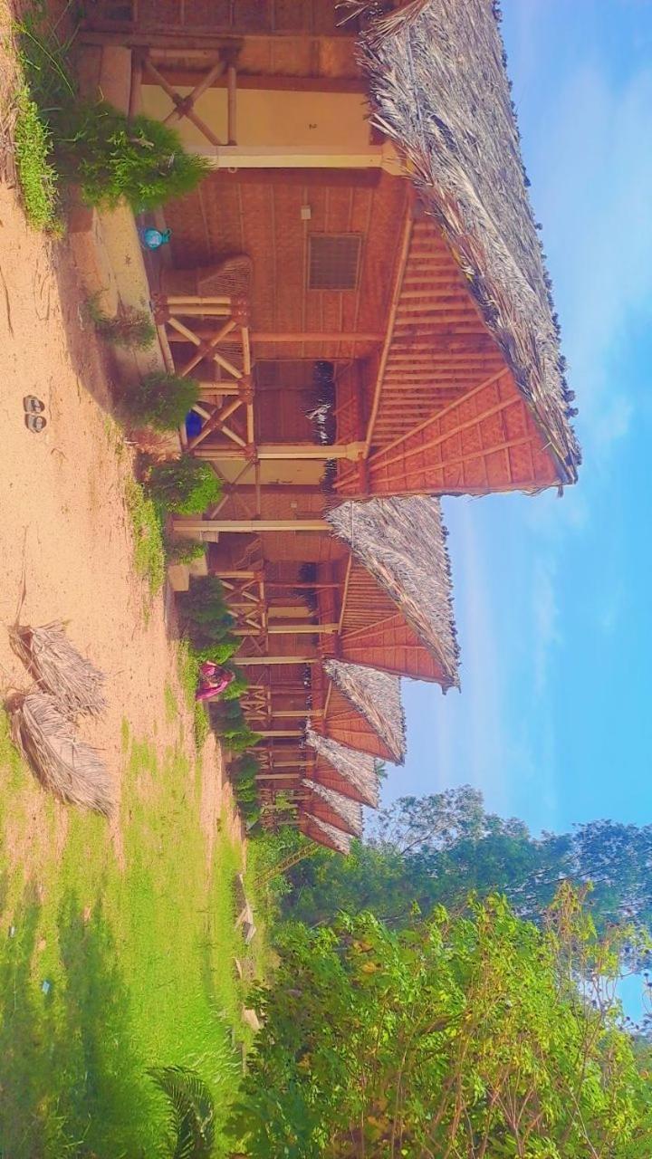 Lazy Panda Hotel Hampi Bilik gambar